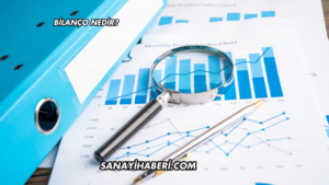 Bilanço Nedir?