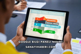 Google Bilgi Paneli Nedir?